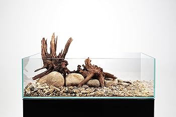 超大型　☆アクアリウム　生花　テラリウム 爬虫類　天然流木 ホーンウッド　⭐︎ ディープホーンウッド | アクアリウム用超大型流木オンラン